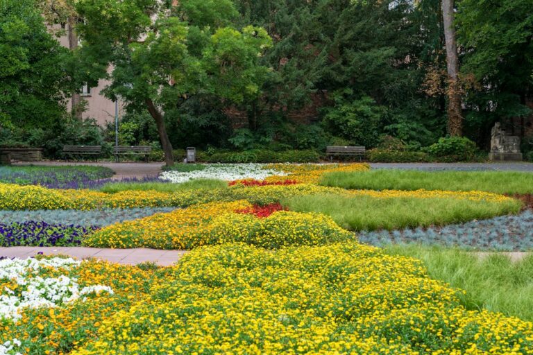 The Ultimate Guide to Landscape Design for Your Home