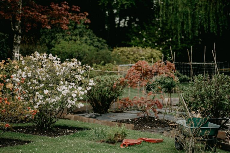 10 Essential Tips for Creating a Beautiful Garden Landscape