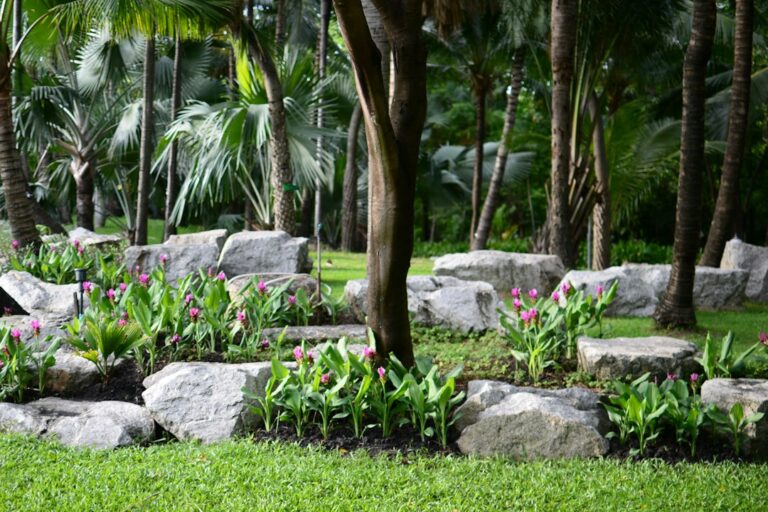 Enhance Your Curb Appeal with Professional Landscaping Services