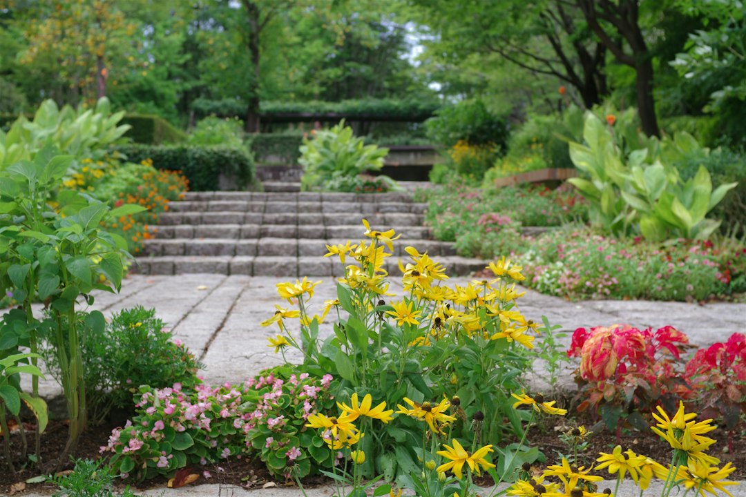 blog_4