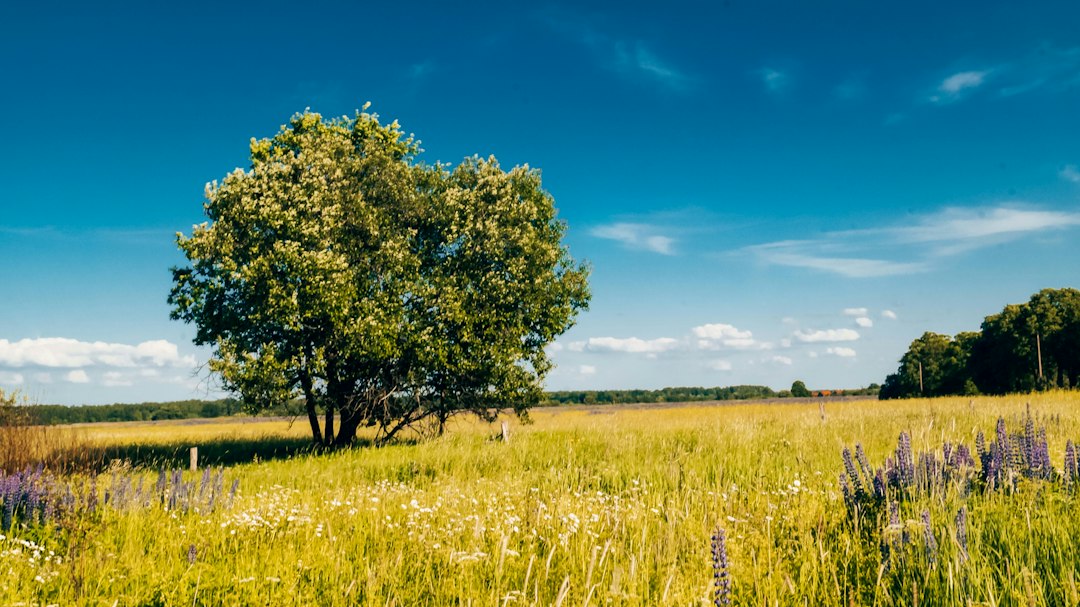 blog_8