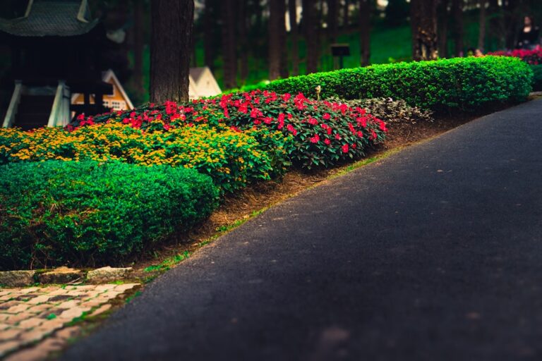 Why Professional Landscaping is Worth the Investment for Homeowners